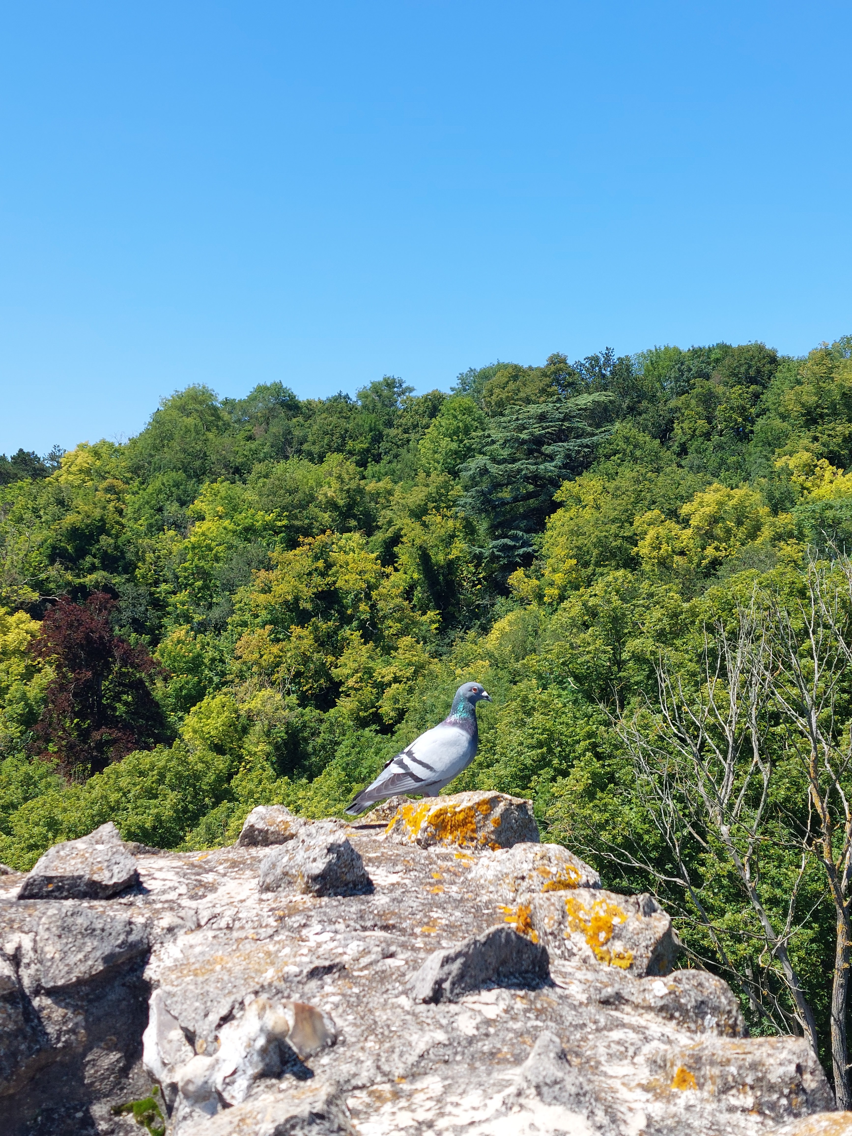 Photo n° 10 de l'avis de Gaetan.i fait le 20/07/2021 à 08:41