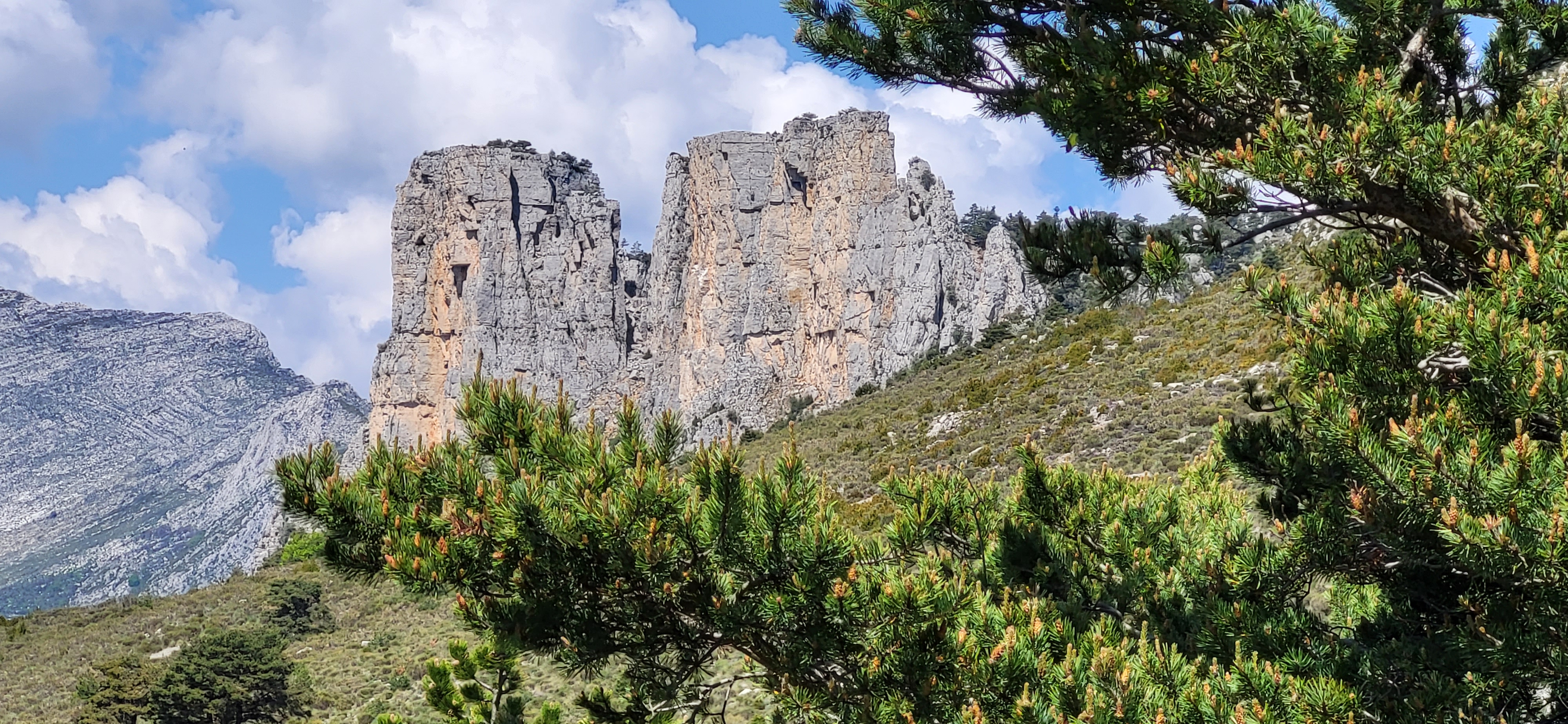 Photo n° 5 de l'avis de Franck.e fait le 25/05/2023 à 15:17