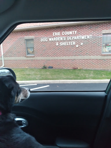 Erie County Dog Warden image 5