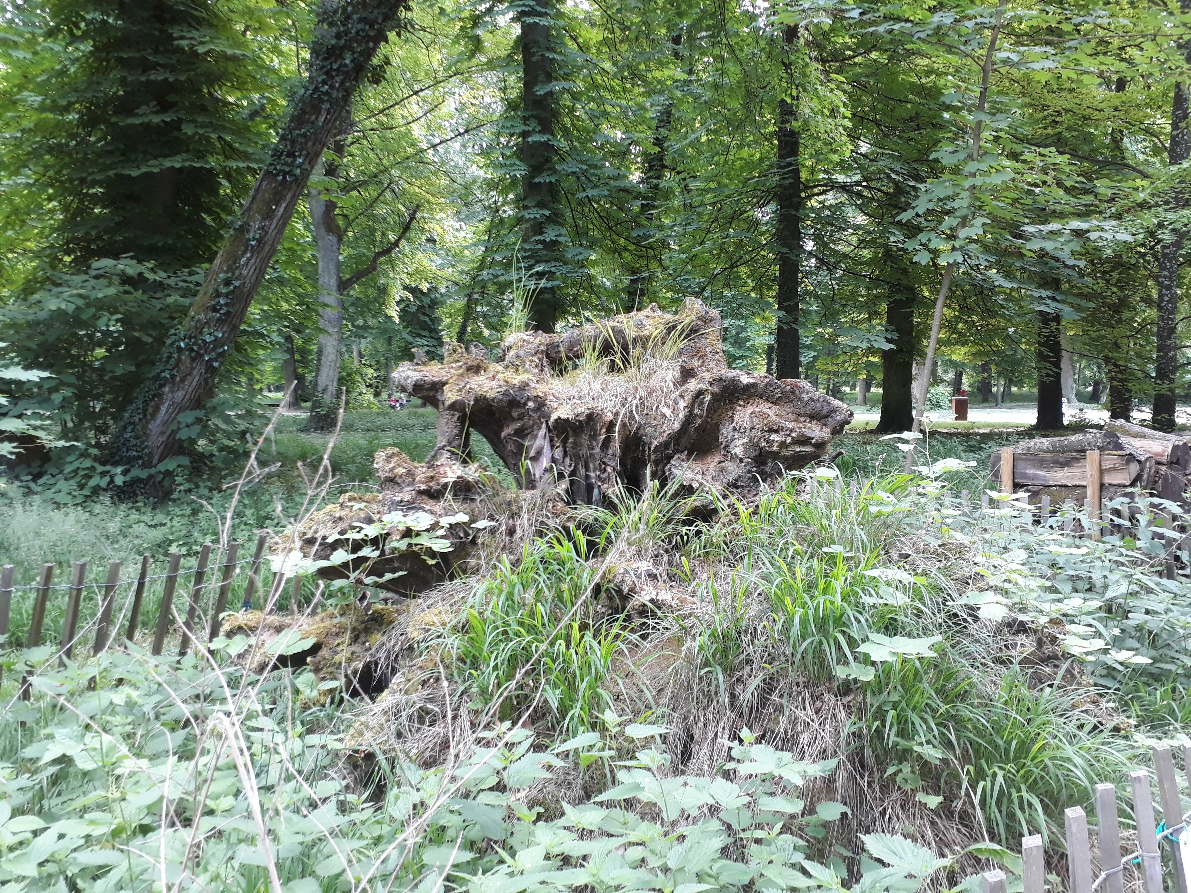 Photo n° 2 de l'avis de Elise.R fait le 24/05/2018 à 15:31