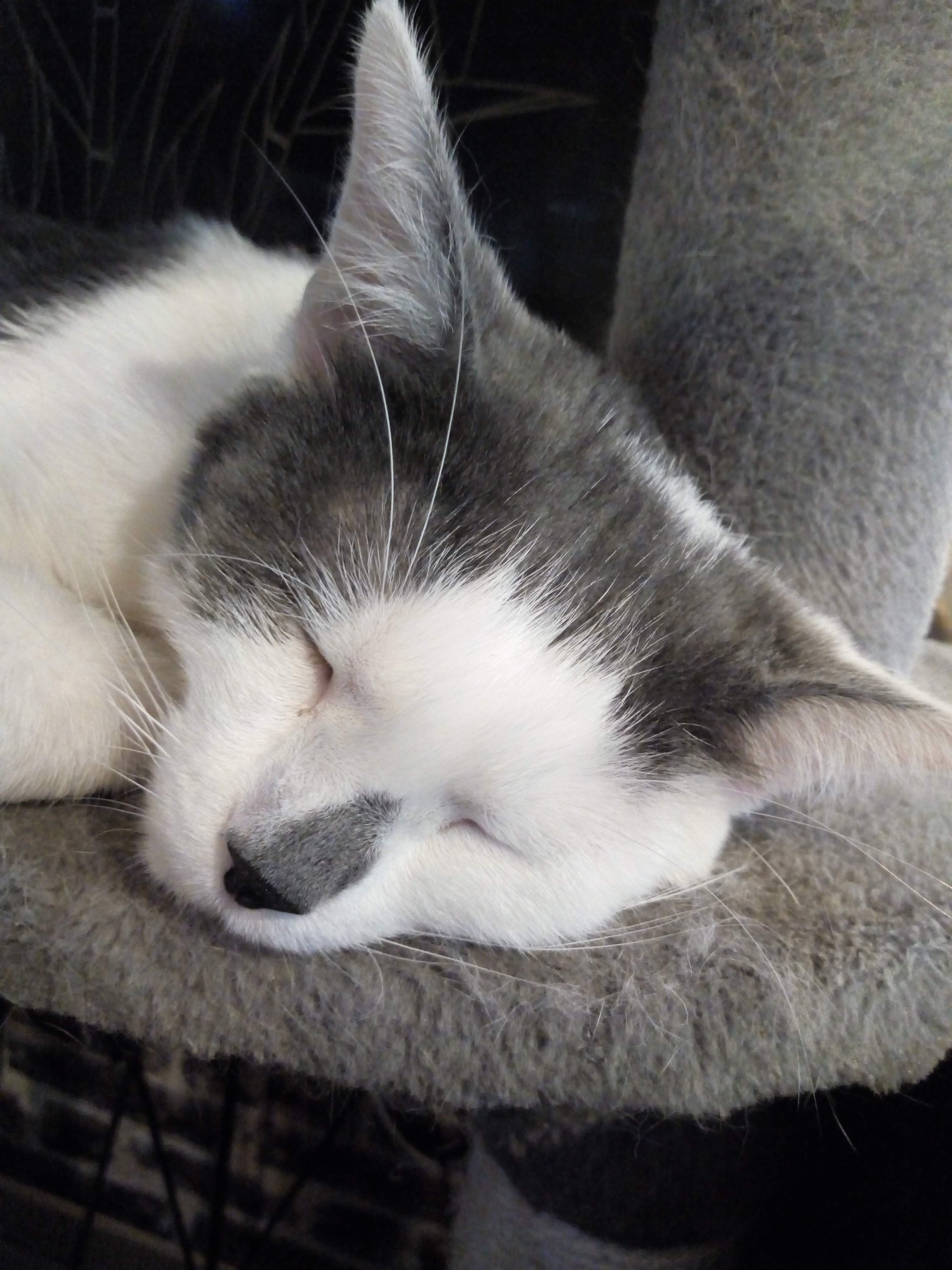 Photo n° 6 de l'avis de Carole.a fait le 15/03/2019 à 18:22
