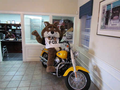 Car Dealer «Cars Unlimited», reviews and photos, 201 W Fletcher Ave, Tampa, FL 33612, USA