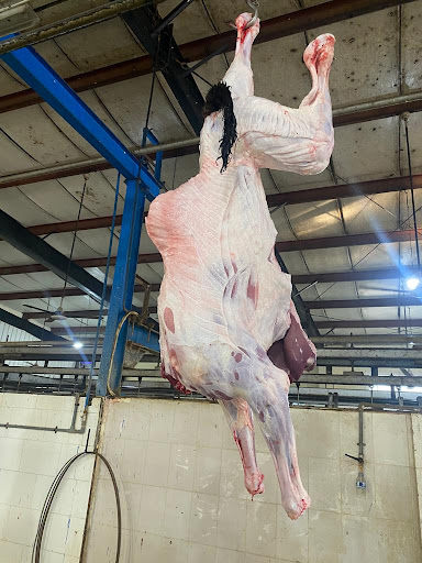 ملحمة نقوة اللحوم 