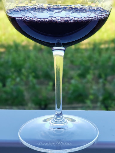 Winery «Raptor Ridge Winery», reviews and photos, 18700 SW Hillsboro Hwy, Newberg, OR 97132, USA