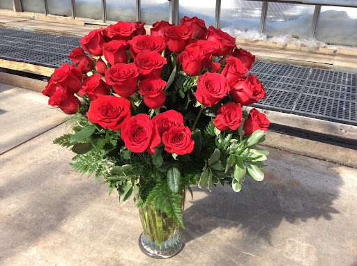 Stewarts Florist & Greenhouses, 350-360 S Hazle St, Hazleton, PA 18201, USA, 