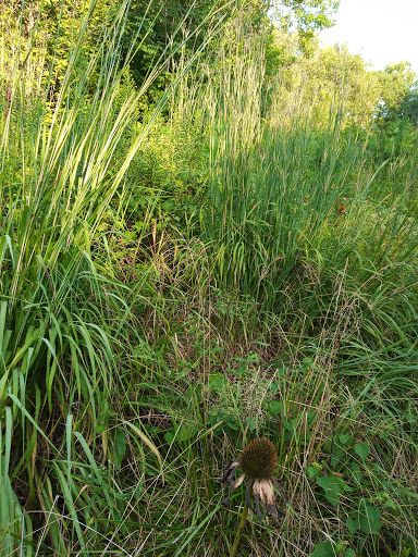 Park «Cherokee Park», reviews and photos, 745 Cochran Hill Rd, Louisville, KY 40206, USA