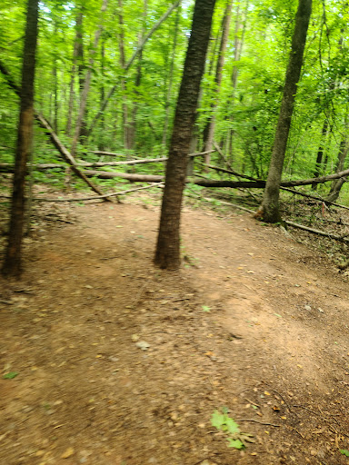 Blue Heron – Kingfisher Trail