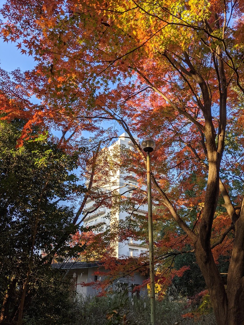 ななまる公園