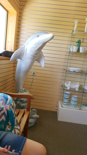 Recreation «Dolphins Plus Oceanside», reviews and photos, 31 Corinne Pl, Key Largo, FL 33037, USA