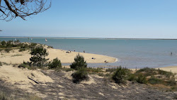 Plage de Bonne Anse'in fotoğrafı ve yerleşim