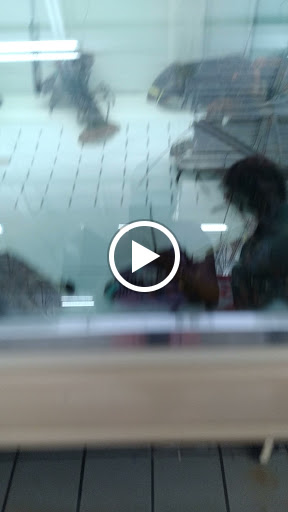 Grocery Store «Super Stop & Shop», reviews and photos, 801 Newark Ave, Elizabeth, NJ 07208, USA