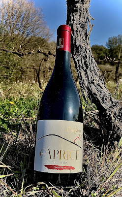 Clos des Carolines à Gabian
