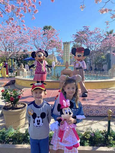 Travel Agency «Pixie Vacations», reviews and photos, 149 Misty Valley Dr, Canton, GA 30114, USA