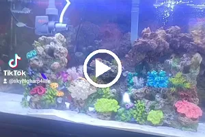 Reef Ryders Aquarium Service And Maintenance image