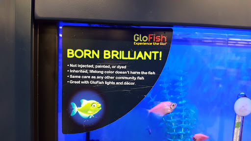 Pet Supply Store «Petco Animal Supplies», reviews and photos, 5938 Roswell Rd NE, Sandy Springs, GA 30328, USA