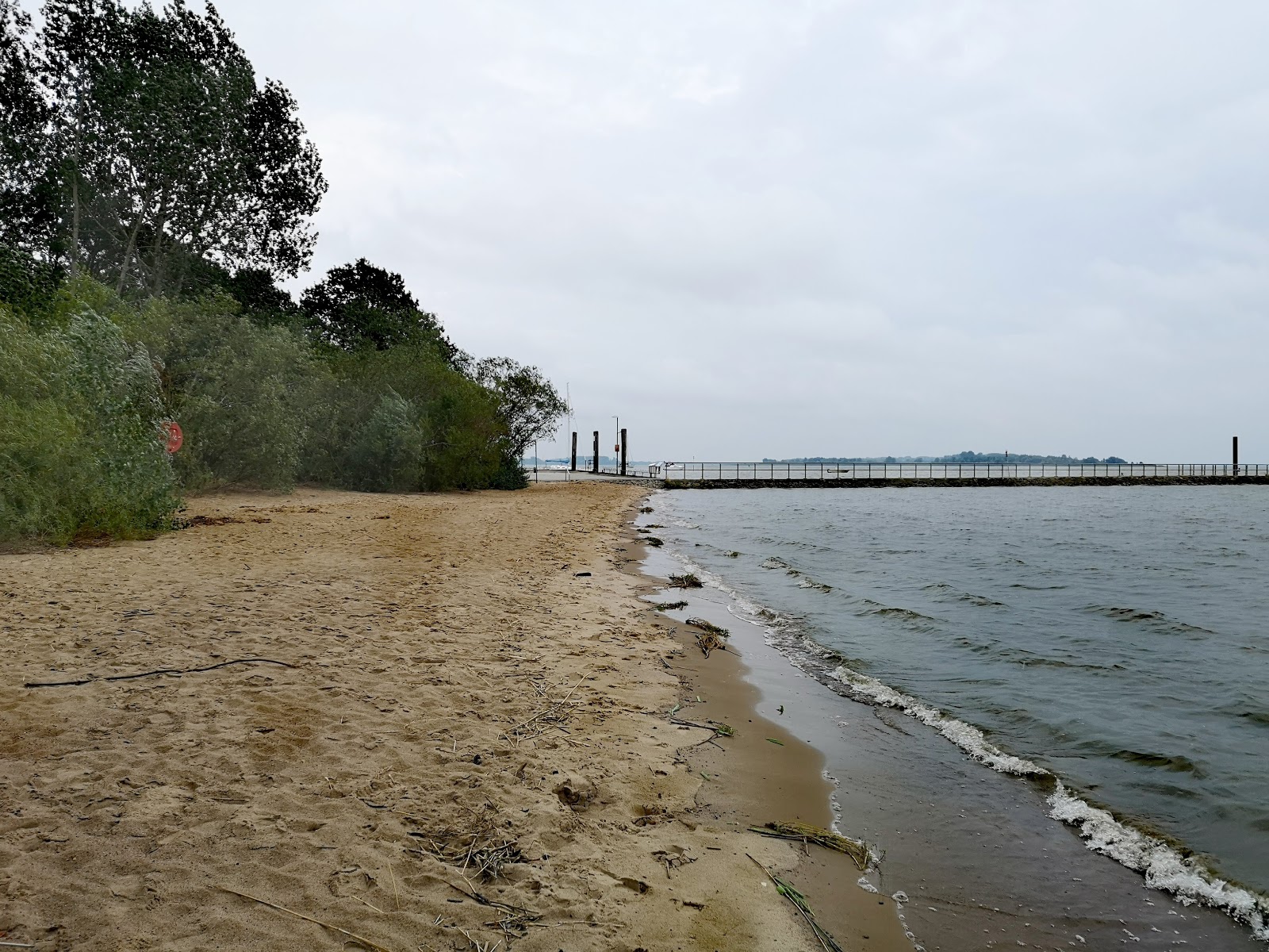 Photo de Kollmar strand avec un rivage spacieux