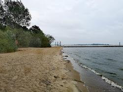 Photo de Kollmar strand avec un rivage spacieux