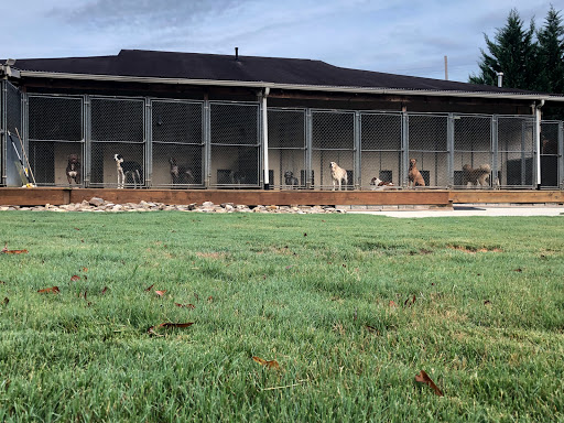 Oconee Veterinary Hospital image