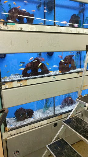 Pet Supply Store «Petco Animal Supplies», reviews and photos, 1933 South Rd, Poughkeepsie, NY 12601, USA