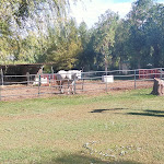 Photo n°1 de l'avis de Maria.a fait le 17/10/2021 à 14:16 sur le  Agriturismo Mararanch à Castrocucco