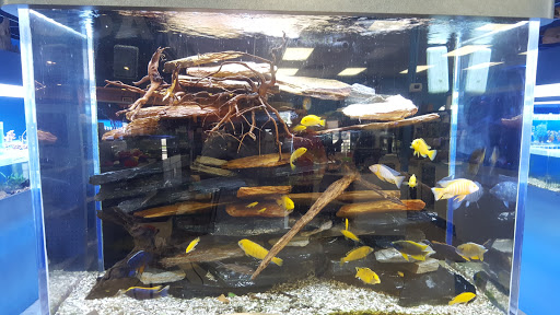 Tropical Fish Store «Marine Warehouse Aquarium», reviews and photos, 8021 W Hillsborough Ave, Tampa, FL 33615, USA