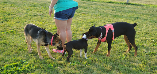 Dog Park «Daisy Dog Park», reviews and photos, 13214 Blakely Dr, Plainfield, IL 60585, USA