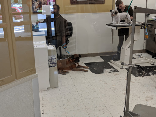 Pet Supply Store «Petco Animal Supplies», reviews and photos, 4950 S 76th St, Greenfield, WI 53220, USA