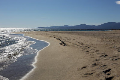 Les Dunes de Sable à Saint-Cyprien