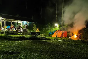 Panimunan nursery camp image