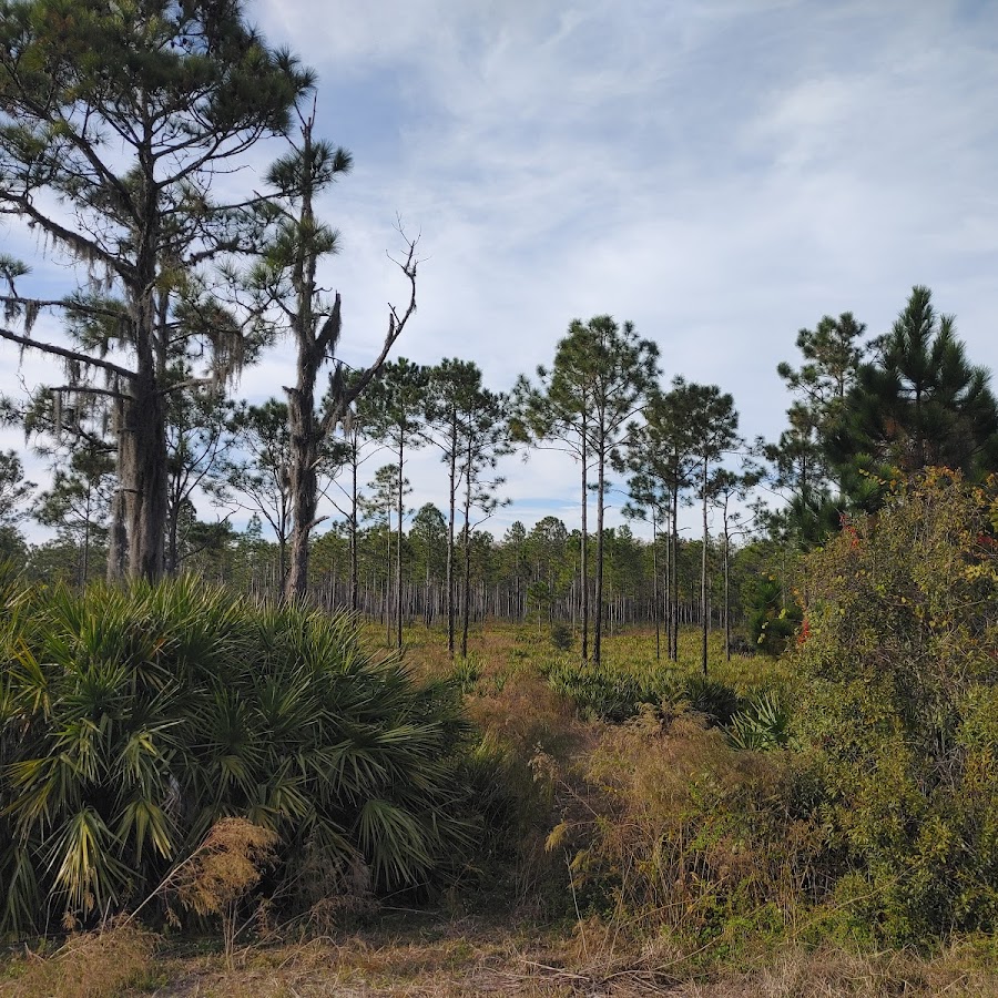 Suncoast Trail