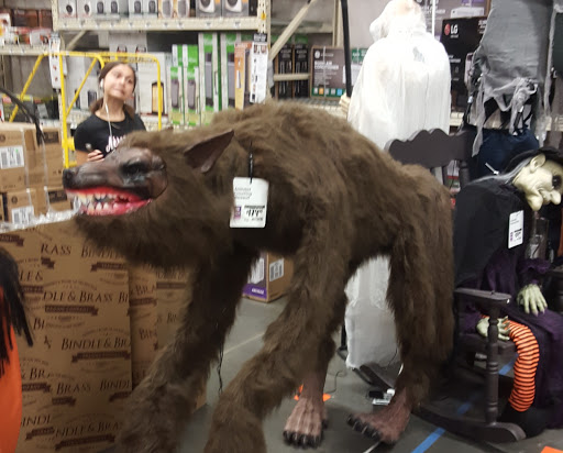 Home Improvement Store «The Home Depot», reviews and photos, 215 SW Home Depot Dr, Lake City, FL 32055, USA