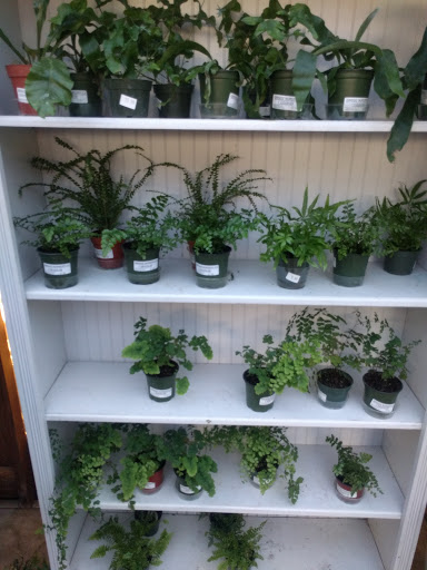Griggs Nursery image