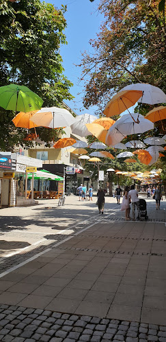 ул. „Пере Тошев“ 10, 2700 Благоевград Център, Благоевград, България