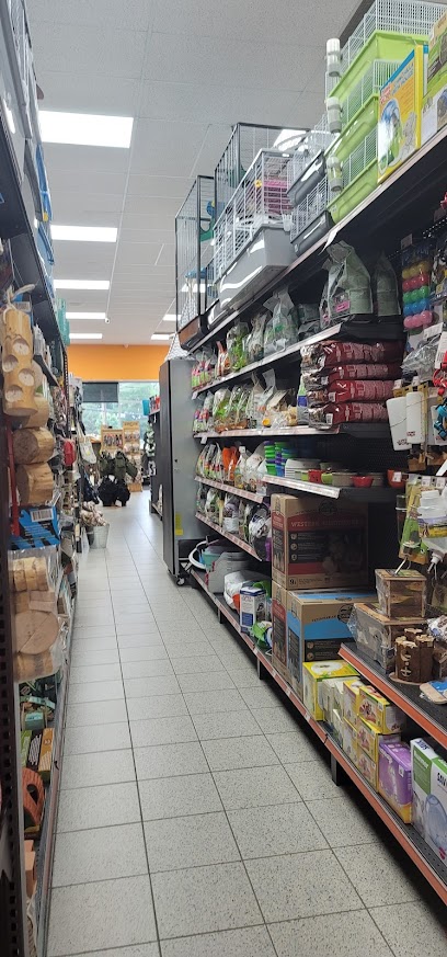 Chico - Boutique d'animaux | Lavaltrie