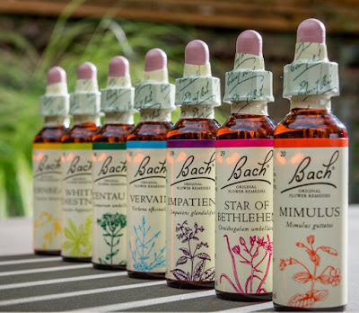 Fleurs & Elixirs à Montigny-en-Ostrevent
