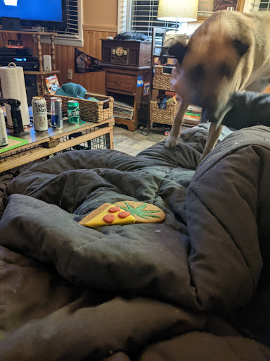 Pet Store «Pets World», reviews and photos, 147 Bridge St, Weymouth, MA 02191, USA