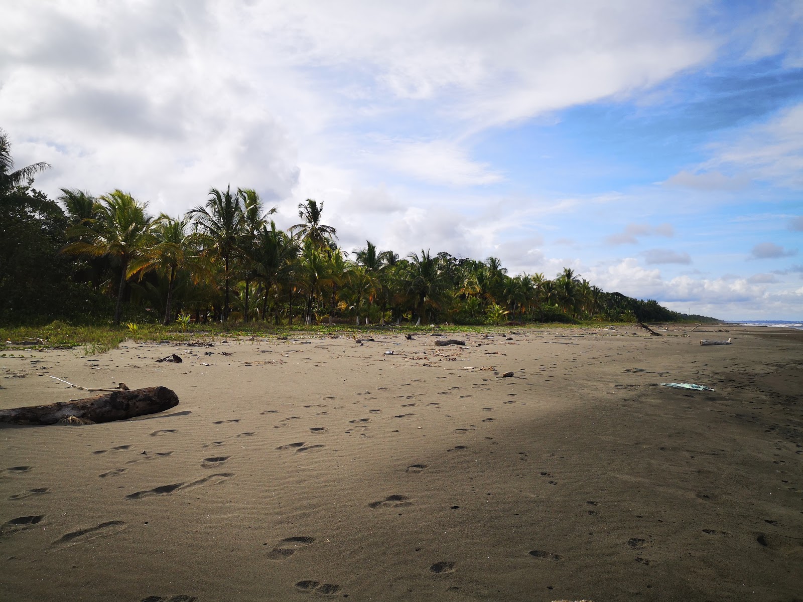 Photo de Palmeras beach et le règlement