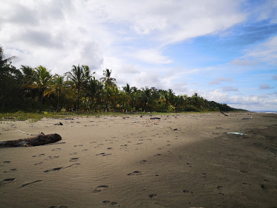 Palmeras beach