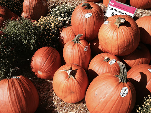 Grocery Store «Meijer», reviews and photos, 1900 E College Ave, Normal, IL 61761, USA