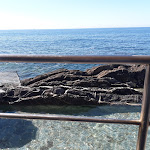 Photo n°1 de l'avis de Freckles. fait le 30/08/2018 à 06:05 sur le  Plage Medusa à Genoa