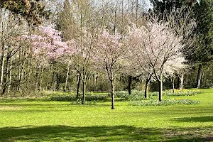 Mesnes Park image