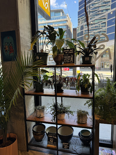 Plants for sale! 