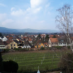 Photo n°1 de l'avis de Edda.c fait le 26/03/2018 à 14:00 sur le  Hotel Schloss Edesheim à Edesheim