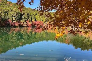 Minamiinaga Lake image