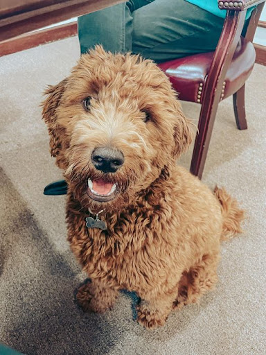 Nissan Dealer «Pat Peck Nissan - Gulfport», reviews and photos, 9480 US 49, Gulfport, MS 39503, USA