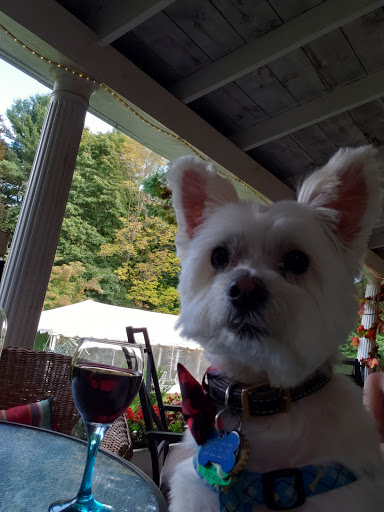 Vineyard «Diamond Hill Vineyards», reviews and photos, 3145 Diamond Hill Rd, Cumberland, RI 02864, USA