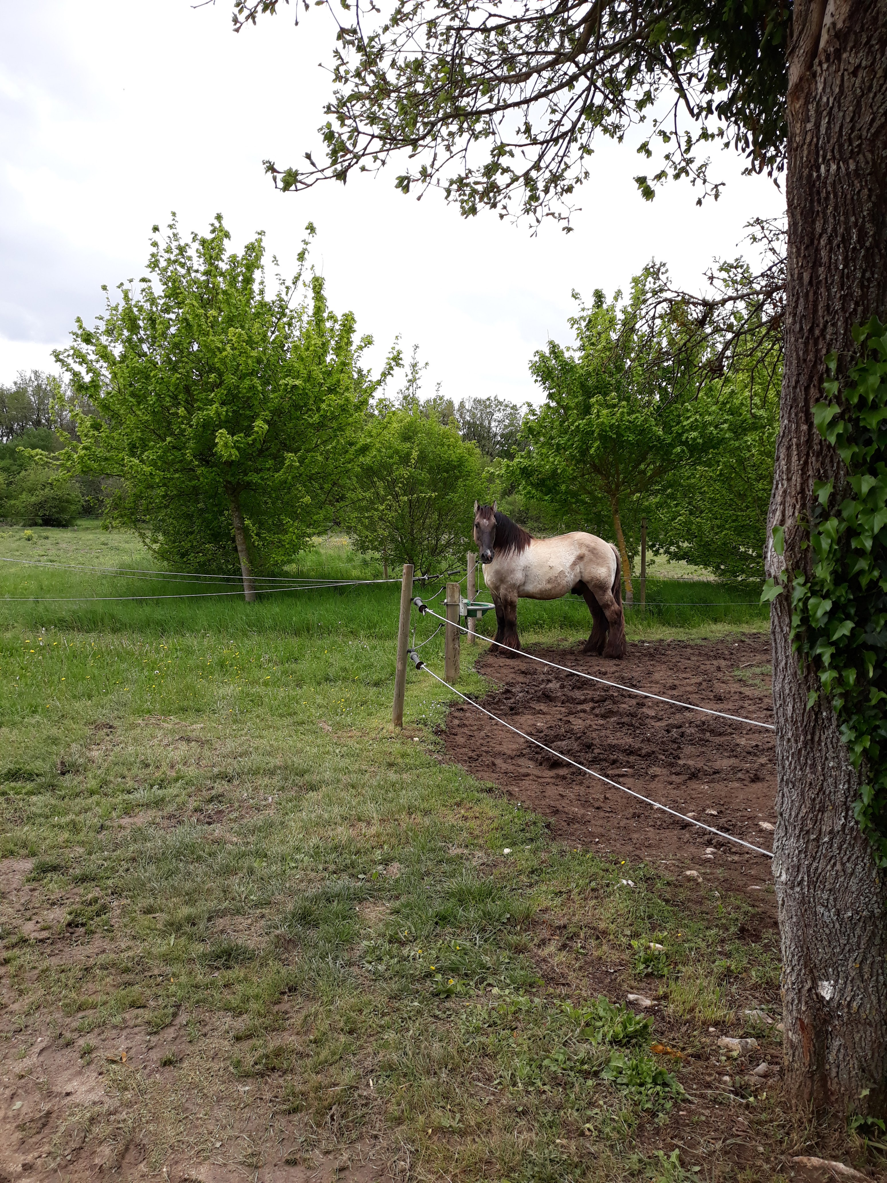 Photo n° 1 de l'avis de Nathalie.i fait le 28/04/2019 à 10:40