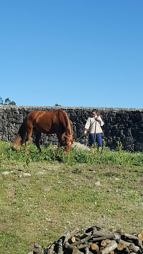 Avaliações doCoudelaria Vila Nova em Santo Tirso - Escola