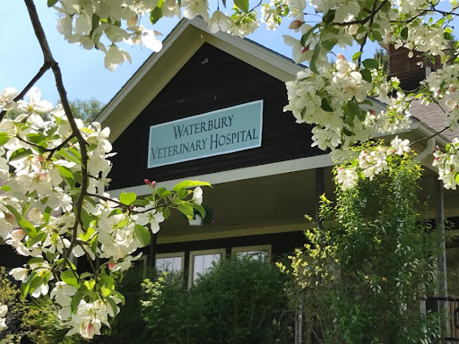 Waterbury Veterinary Hospital