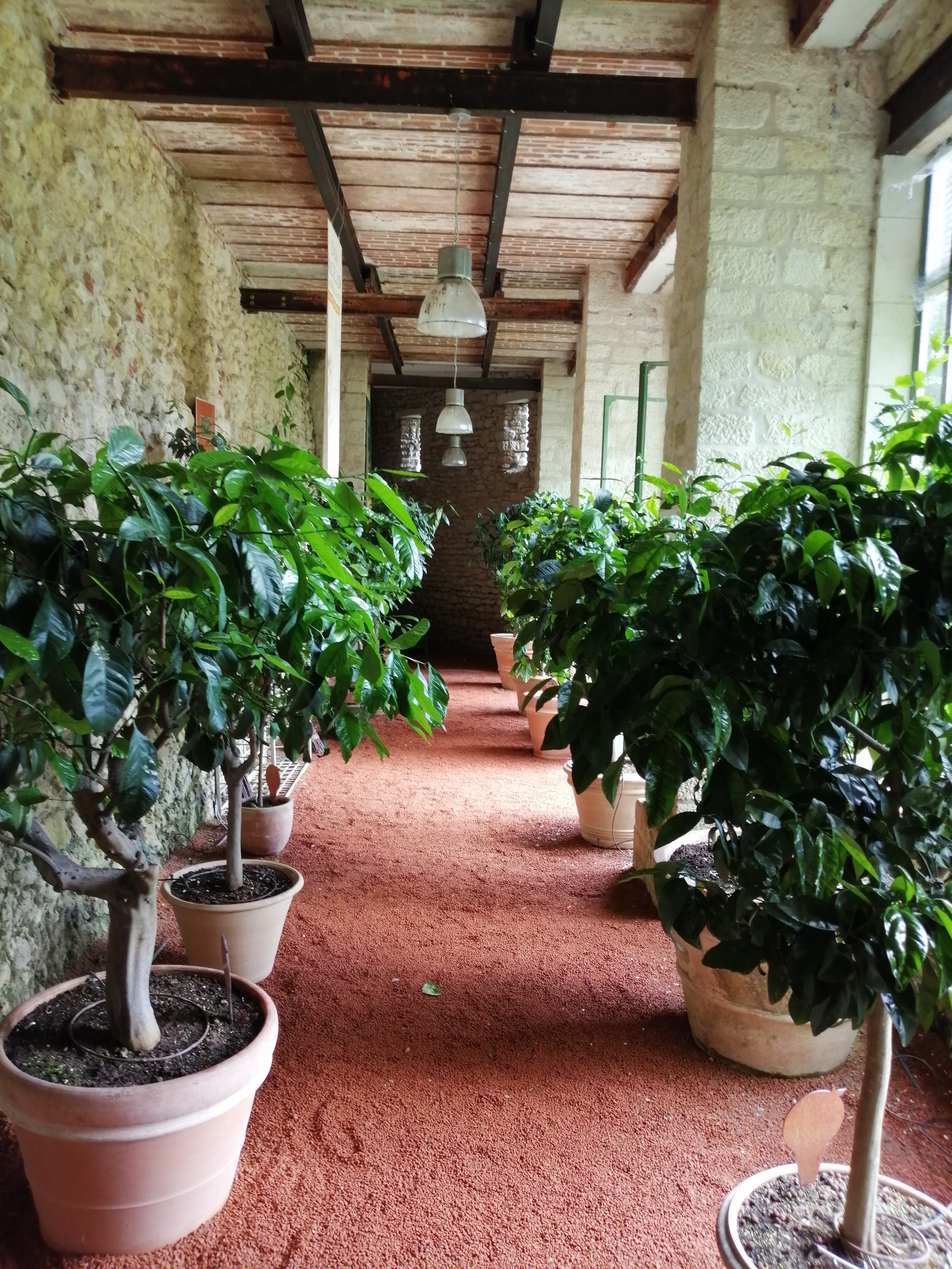 Photo n° 8 de l'avis de Eric.e fait le 21/06/2019 à 12:25